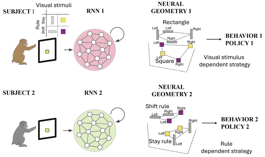 Task animation — neural geometry and behavioral strategies