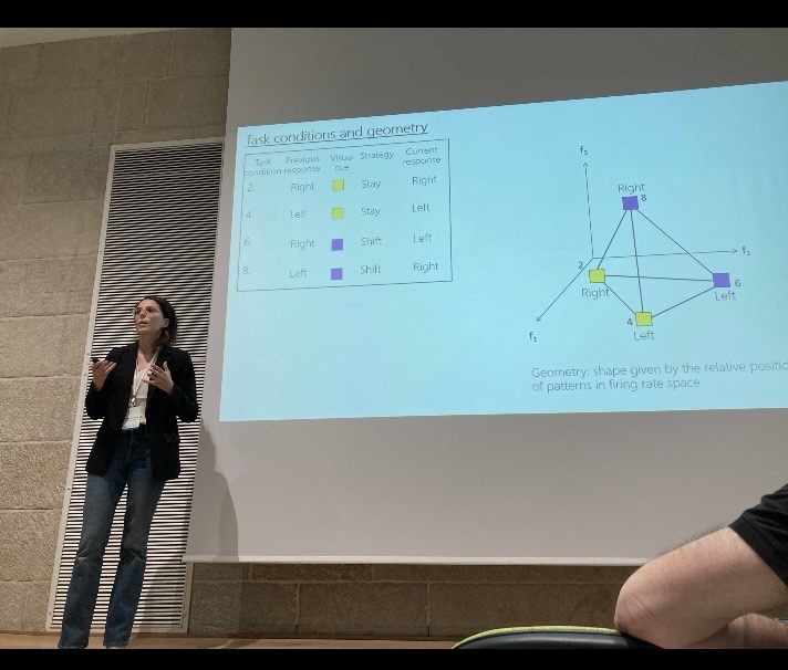 Invited talk at the Tri-Center Gatsby Meeting, Hebrew University, Jerusalem (2022)